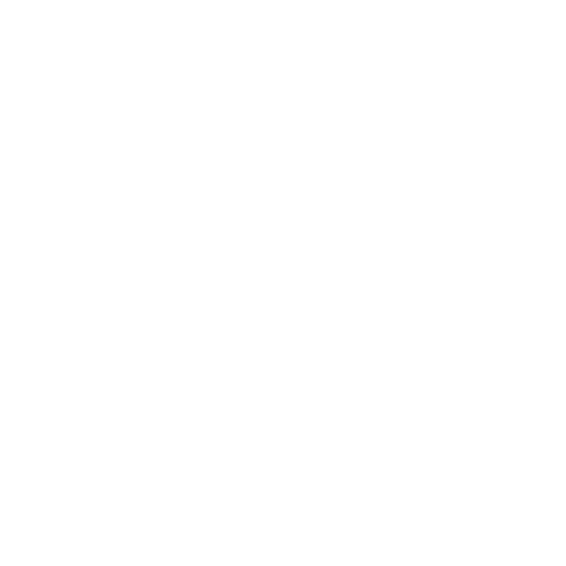Working Capital